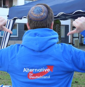 Kampagne gegen AfD: „Zentralrat der Juden“ spricht nicht für die Mehrheit der Juden