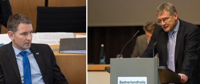 höcke, meuthen