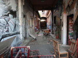 Argentiniens Präsident Milei appeliert an „Elite“ in Davos, dem Sozialismus abzuschwören