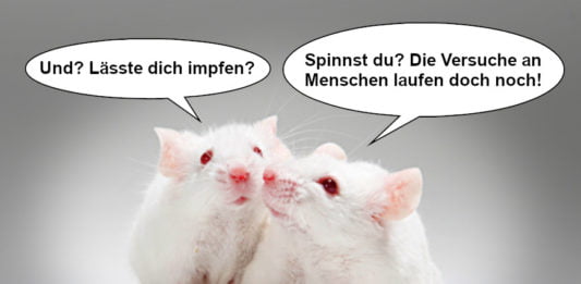 Labormäuse spekulieren über den Sinn von Coronaimpfungen