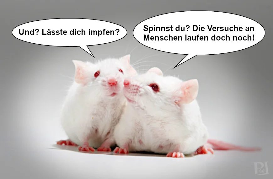 Labormäuse spekulieren über den Sinn von Coronaimpfungen