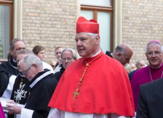 Kardinal Müller: Wie katholisch ist die deutsche Kirchenfiliale noch?