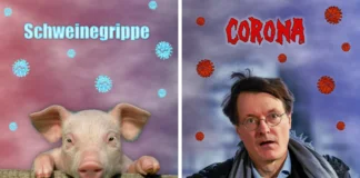 Verdächtige Parallelen zwischen Schweinegrippe und Covid