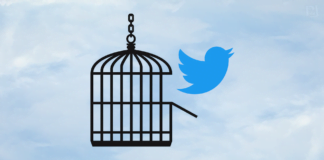 Twitter: der Vogel ist befreit