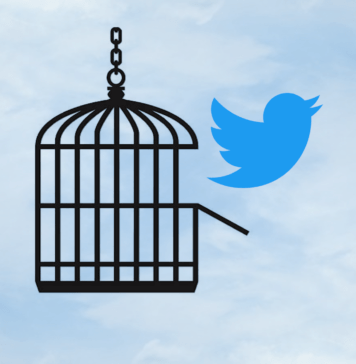 Twitter: der Vogel ist befreit