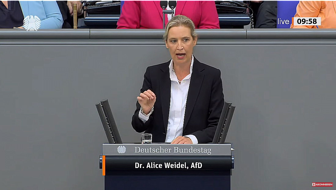 Alice Weidel Rechnet Grandios Mit Ampel Ab