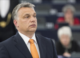 Orbán zu Korruptionsskandal: Kein Geld mehr für die ukrainische Kriegsmafia!