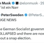 Musk über Scholz: „Olaf ist ein Narr“