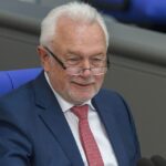 Musk-Talk: Kubicki und die 150 EU-Inquisitoren