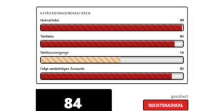 Onlineabfrage gesammelter Daten/Social Score