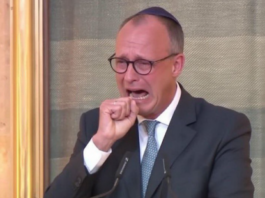 Die deutsche Bundesregierung ist stehend k. o.