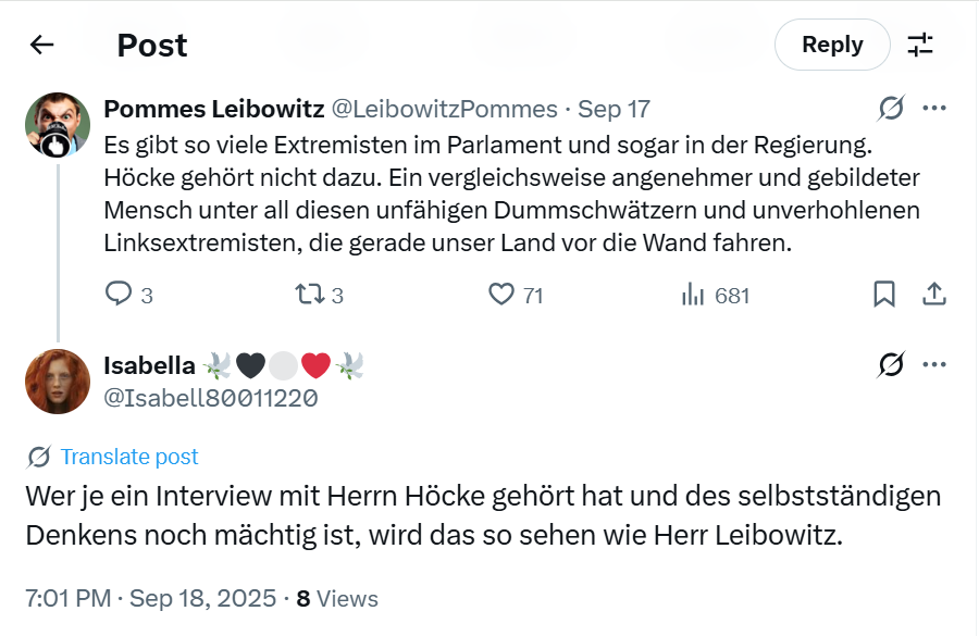 Kommentar zu einem Hetzbeitrag gegen Höcke
