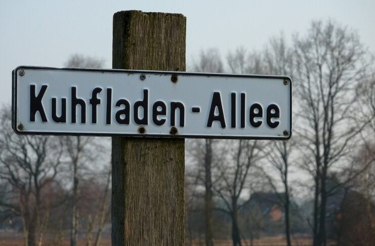NGO: Steuergeld für „klimafreundliche Kuhfladen“