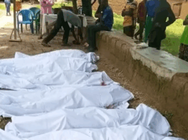 Leos Vatikan: Islamappeasement und Verrat an den Christen Nigerias