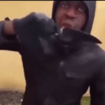 Wie aus bestialischen Messermördern „psychisch Kranke“ werden