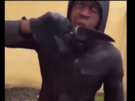 Wie aus bestialischen Messermördern „psychisch Kranke“ werden