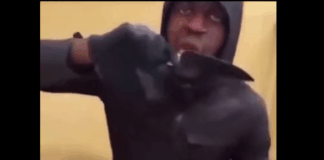 Wie aus bestialischen Messermördern „psychisch Kranke“ werden