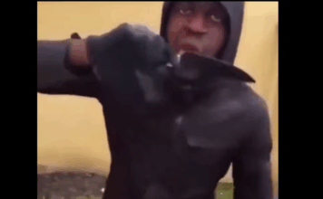 Wie aus bestialischen Messermördern „psychisch Kranke“ werden