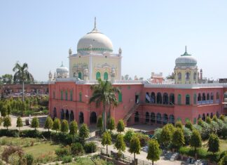 Zur Wirkungsgeschichte der Moschee-Universität in Deoband