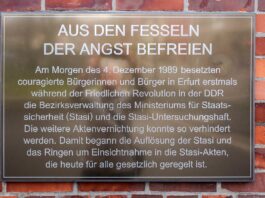 Panik vor AfD-Regierung: Sozialisten planen Aktenvernichtung