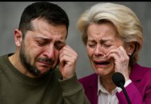 Trumps Friedensplan: Große Ähnlichkeiten mit Friedensbemühungen der AfD