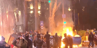 Von Deutschland finanziert: Georgien in der Hand von NGOs