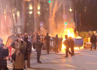 Von Deutschland finanziert: Georgien in der Hand von NGOs