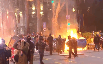 Von Deutschland finanziert: Georgien in der Hand von NGOs