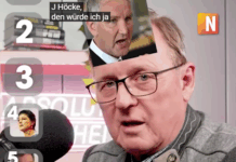 Bundestags-Vizepräsident Bodo Ramelow: Björn Höcke mit giftigen Pilzen töten