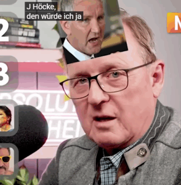 Bundestags-Vizepräsident Bodo Ramelow: Björn Höcke mit giftigen Pilzen töten