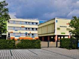 Extreme Gewalt an Schulen: Eltern schlagen Alarm in Cottbus
