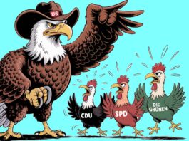 Neue US-Sicherheitsstrategie: Wie ein Böller im Hühnerstall