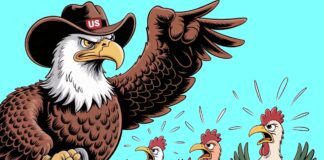 Neue US-Sicherheitsstrategie: Wie ein Böller im Hühnerstall