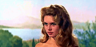 Brigitte Bardot ✞ Hetze als Nachruf?! Zum Tod von Brigitte Bardot - Hetze als Nachruf