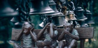 Regierung ignorant gegenüber skandalöser Studie des Potsdam Institut für Klimafolgenforschung