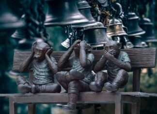 Regierung ignorant gegenüber skandalöser Studie des Potsdam Institut für Klimafolgenforschung