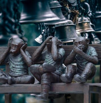 Regierung ignorant gegenüber skandalöser Studie des Potsdam Institut für Klimafolgenforschung