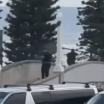 Anschlag in Sydney: Die Linken haben mitgemordet