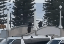 Anschlag in Sydney: Die Linken haben mitgemordet