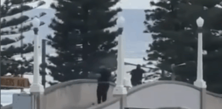 Anschlag in Sydney: Die Linken haben mitgemordet