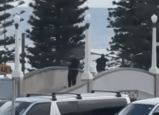 Anschlag in Sydney: Die Linken haben mitgemordet