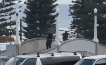 Anschlag in Sydney: Die Linken haben mitgemordet