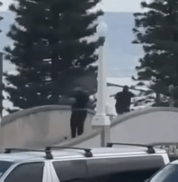 Anschlag in Sydney: Die Linken haben mitgemordet