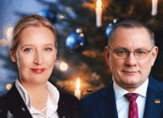 Schon wieder Umfrage-Rekord für AfD: Bislang größter Abstand zur Union