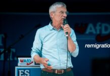 Regierungskrise in Potsdam: Wird die AfD bald das erste Bundesland regieren?