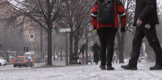 Wegners Streusalz-Appell: Versagen, Spott und verletzte Berliner