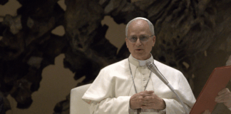 Papst Leo XIV. warnt vor Kriegstreiberei, Zensur und Christenverfolgung durch Islam