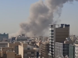 Gerald Grosz: „Mörder und Terroristen haben keinen Anspruch aufs Völkerrecht!“