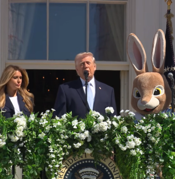 Trumps blutige Osterbotschaft: Wenn aus Hoffnung Entsetzen wird