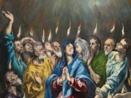 Gegen die Selbstzerstörung der Kirche
